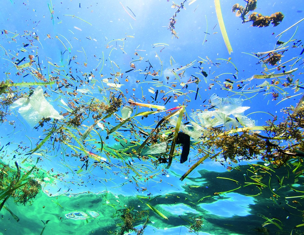 图3：严重的海洋塑料垃圾污染.jpg