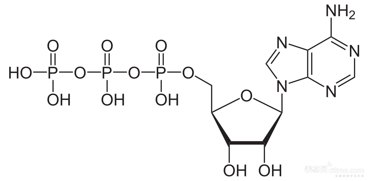 1200px-Adenosintriphosphat_protoniert.svg.png