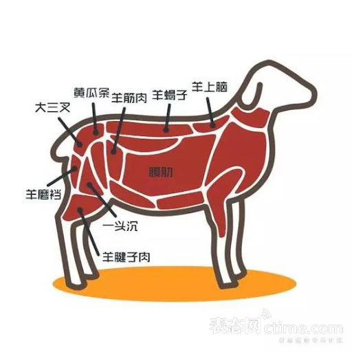 14羊肉部位图.jpeg