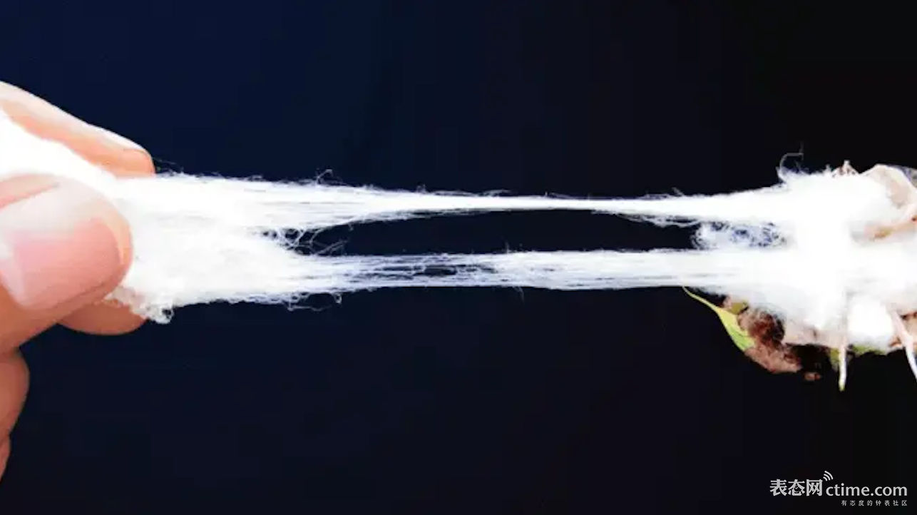 1616745714342014140.png 截屏2021-03-26 上午11.29.32.png