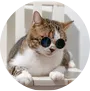 6410.png