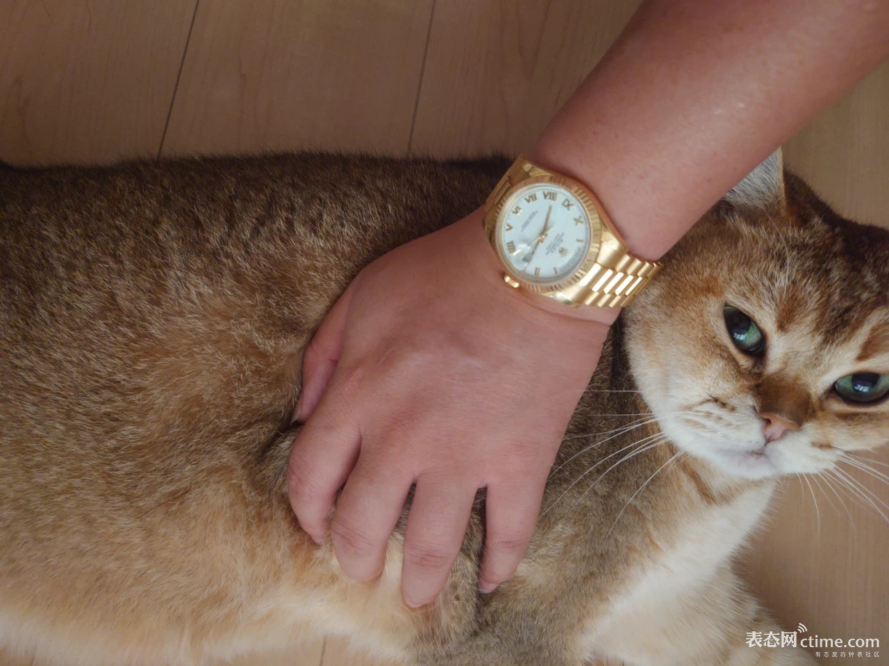 1765344571934069582.jpg IMG_5288.jpg