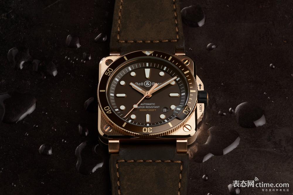 L53-08-Diver-Bronze-brown.jpg