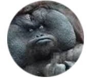 1755163409467006817.png