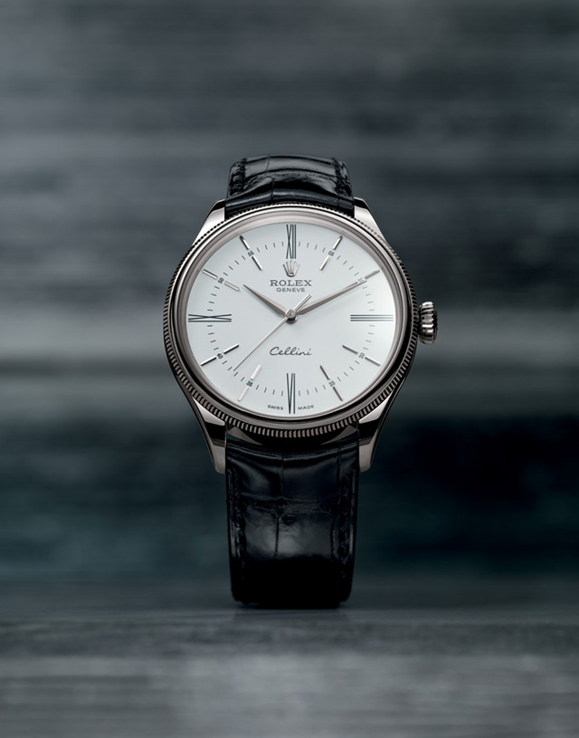 allen  发表时间:21个小时前