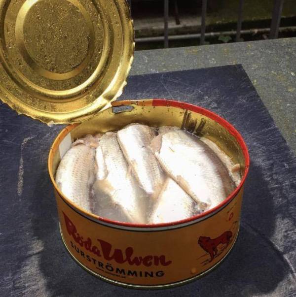 最后压轴出场的,世界终极料理—瑞典 鲱鱼罐头!