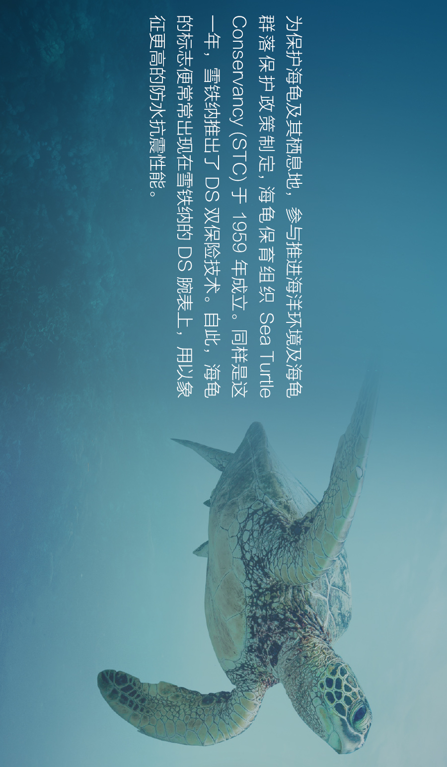 深海使者,"海龟"系列再添新丁