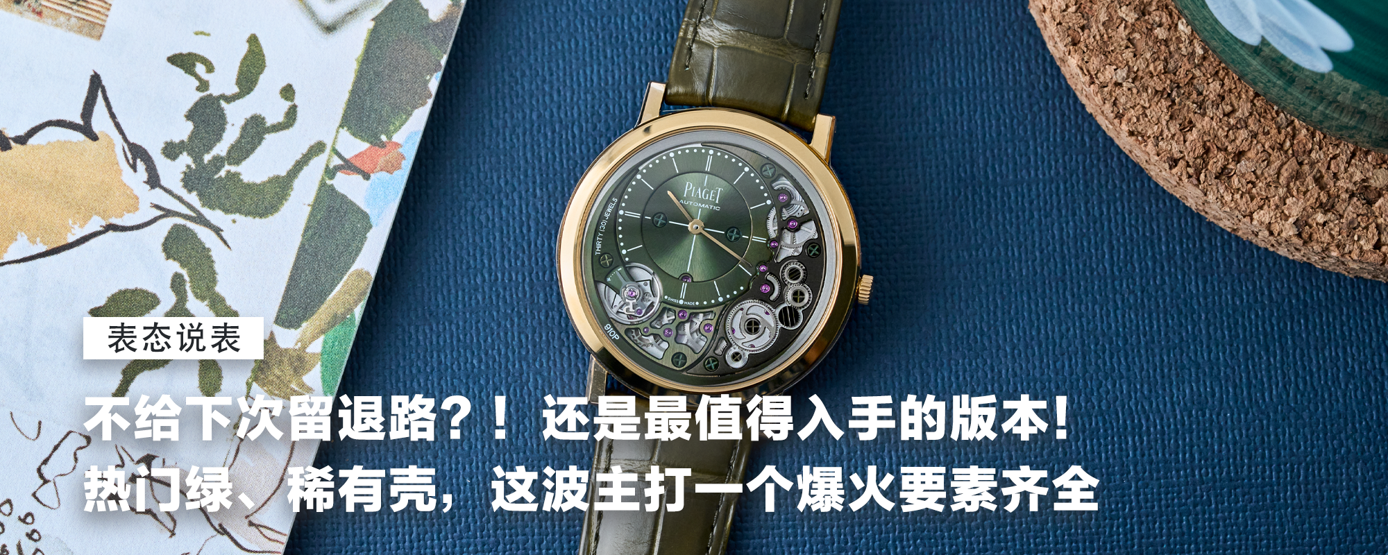 【表态说表】不给下次留退路？！还是最值得入手的版本！热门绿、稀有壳，这波主打一个爆火要素齐全